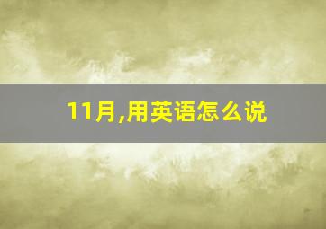 11月,用英语怎么说