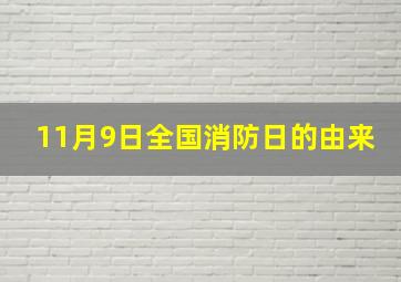 11月9日全国消防日的由来