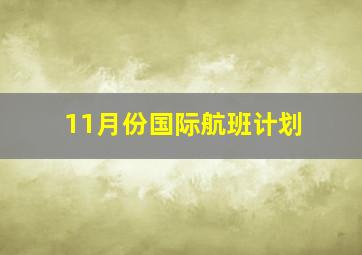 11月份国际航班计划