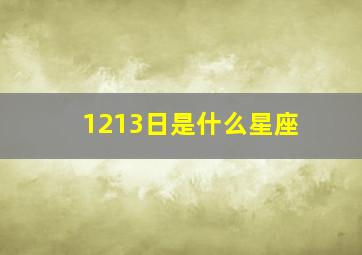 1213日是什么星座