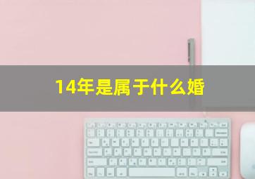 14年是属于什么婚