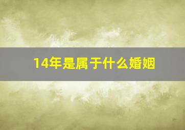 14年是属于什么婚姻