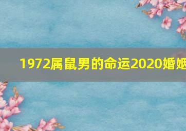 1972属鼠男的命运2020婚姻