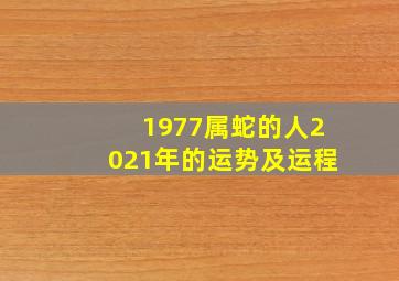 1977属蛇的人2021年的运势及运程