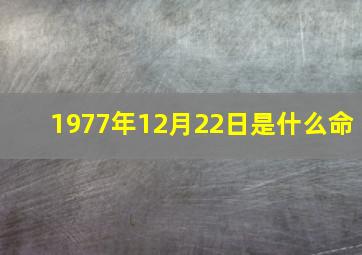 1977年12月22日是什么命