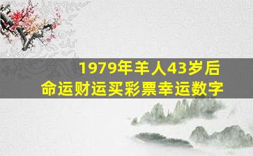 1979年羊人43岁后命运财运买彩票幸运数字