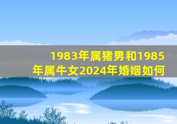 1983年属猪男和1985年属牛女2024年婚姻如何