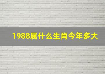 1988属什么生肖今年多大