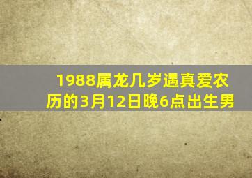 1988属龙几岁遇真爱农历的3月12日晚6点出生男