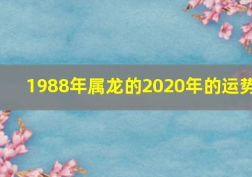 1988年属龙的2020年的运势