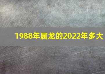 1988年属龙的2022年多大