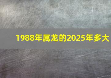 1988年属龙的2025年多大