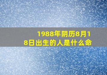 1988年阴历8月18日出生的人是什么命