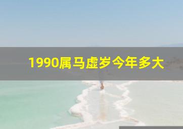 1990属马虚岁今年多大