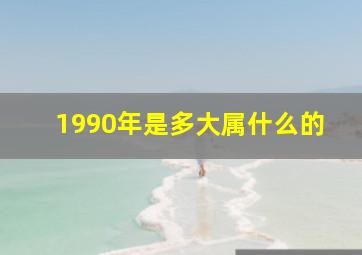 1990年是多大属什么的