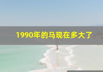 1990年的马现在多大了