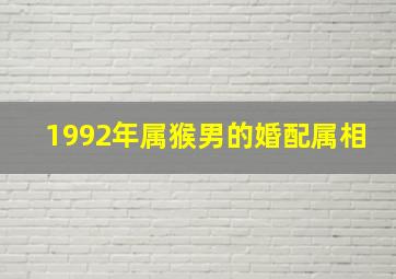 1992年属猴男的婚配属相