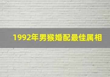 1992年男猴婚配最佳属相