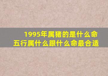 1995年属猪的是什么命五行属什么跟什么命最合适