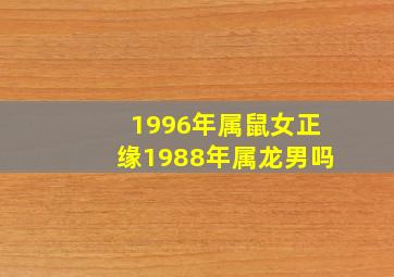 1996年属鼠女正缘1988年属龙男吗