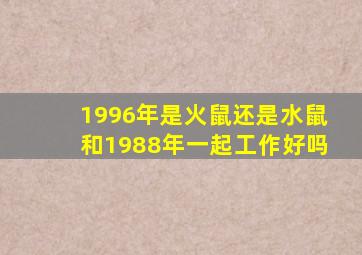 1996年是火鼠还是水鼠和1988年一起工作好吗