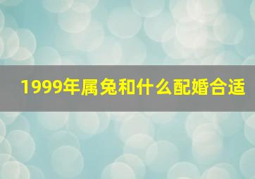 1999年属兔和什么配婚合适