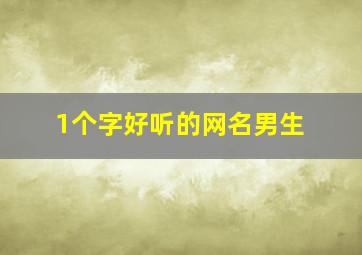 1个字好听的网名男生