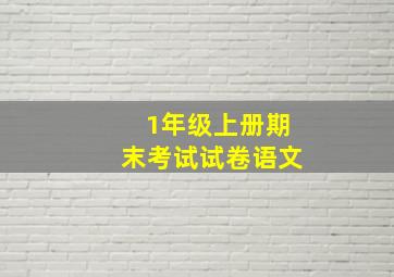 1年级上册期末考试试卷语文