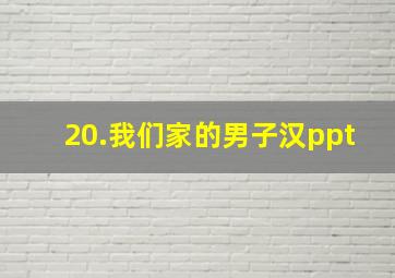 20.我们家的男子汉ppt