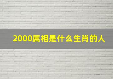 2000属相是什么生肖的人