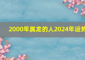 2000年属龙的人2024年运势