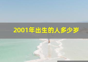 2001年出生的人多少岁