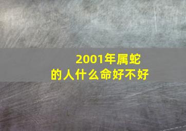 2001年属蛇的人什么命好不好