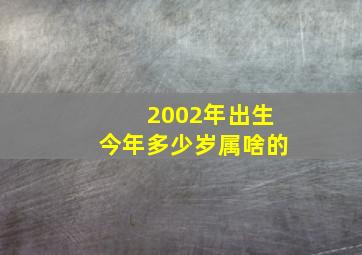 2002年出生今年多少岁属啥的