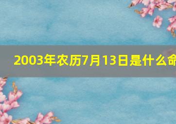 2003年农历7月13日是什么命