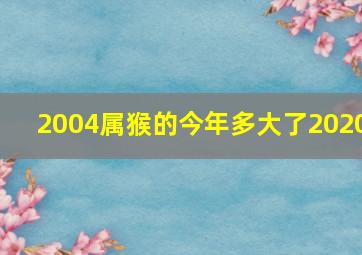 2004属猴的今年多大了2020