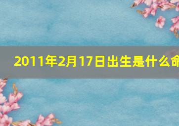 2011年2月17日出生是什么命