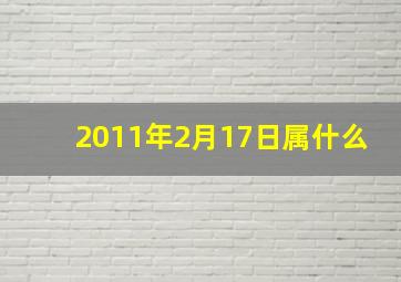 2011年2月17日属什么