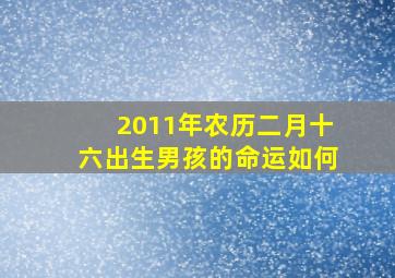 2011年农历二月十六出生男孩的命运如何