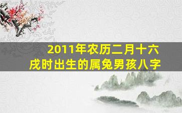 2011年农历二月十六戌时出生的属兔男孩八字