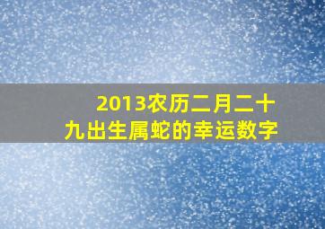 2013农历二月二十九出生属蛇的幸运数字