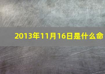 2013年11月16日是什么命