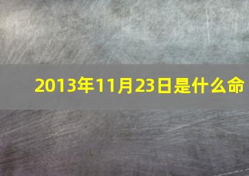 2013年11月23日是什么命