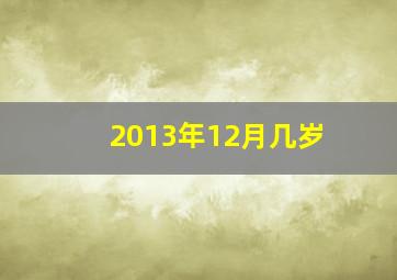 2013年12月几岁