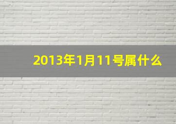 2013年1月11号属什么