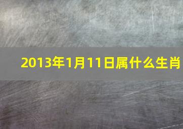 2013年1月11日属什么生肖