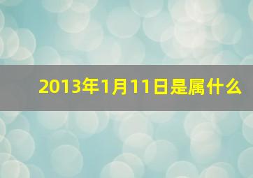 2013年1月11日是属什么