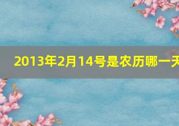 2013年2月14号是农历哪一天