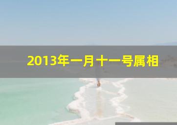 2013年一月十一号属相