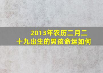 2013年农历二月二十九出生的男孩命运如何